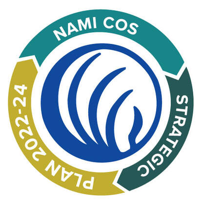 NAMI Strategic Plan